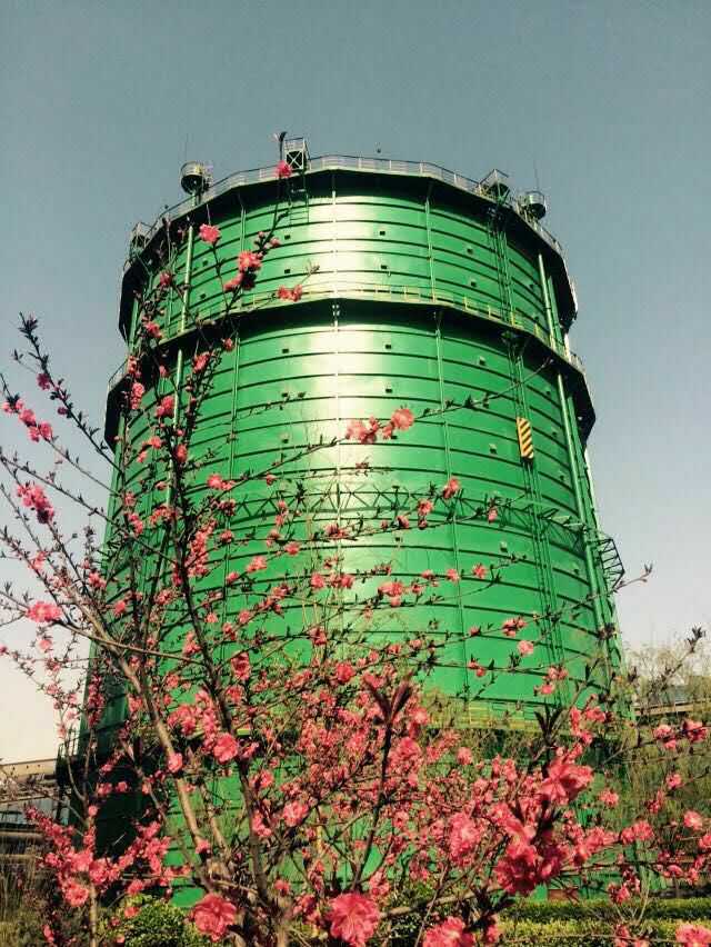 黄瓜视频污版 黄瓜视频污版